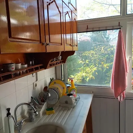 No :1 Double Bedroom At International Shared & Bathrooms Shared & Kozyatagi-kadikoy Δωμάτια σε οικογενειακή κατοικία